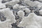 Arte Espina Damast Vloerkleed 120 x 180 cm Bruin