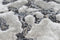Arte Espina Damast Vloerkleed 80 x 150 cm Bruin