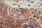 Arte Espina Indiana Vloerkleed 200 x 290 cm Terra
