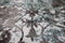 Arte Espina Ocean Vloerkleed 70 x 140 cm Turquoise