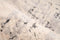 Arte Espina Palace 80 x 150 cm Vloerkleed Beige
