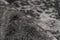 Arte Espina Vintage 160 x 230 cm Vloerkleed Donkergrijs