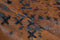 Arte Espina Voila Vloerkleed 160 x 230 cm Bruin