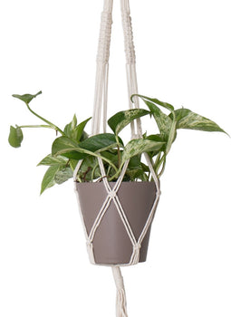 Artevasi - Planthngr Macrame Sgl Vkknp Wit
