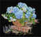 Thea Gouverneur - Borduurpakket met telpatroon - 2046.05 - Voorgesorteerde DMC Garens - Blauwe Hortensia - Zwart Aida - 37 cm x 33 cm - DIY Kit
