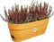Elho Vibia Campana Balkonbak 50 - Plantenbak met afwateringsgat - Ø 49.0 x H 17.0 cm - Honinggeel