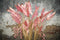 PTMD Leaves Plant Paradise Blad Kunsttak - 107x26x156 cm - Rosé Goud