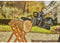 Gardena PowerSaw 250/18V - Accu kettingzaag - Borstelloze motor 8 m/s - Oregon® ketting (1 stuk)