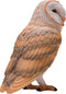 Mojo Wildlife Kerkuil - 381054