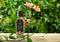Ashleigh & Burwood - Honeysuckle Blooms Geurlamp olie L