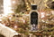 Ashleigh & Burwood Navulling - voor geurbrander - Enchanted Forest - 250 ml