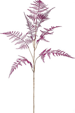 Asparagus spray purple 85 cm