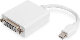 ASSMANN Electronic mini DP - DVI-D, 0.15m 0.15m mini DisplayPort DVI-D Wit video kabel adapter