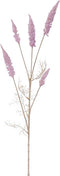 Astilbe tak pink