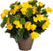 Mica Decorations Begonia - Kunstplant - Gele bloemen - 37 cm