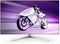 Philips Evnia 42M2N8900 - Monitor - 41,54