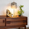 Atmooz - Tafellamp Ghandia - Slaapkamer / Woonkamer - Industrieel - Hoogte 61cm - Glazen bol + Metalen onderstel