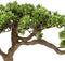 Atmosphera bonsai boom - in keramische pot - 45 cm - kunstplant - groen - Nepplanten - Sierplanten - Japanse stijl