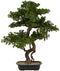 Atmosphera bonsai boom - in keramische pot - 86 cm - kunstplant - groen - Nepplanten - Sierplanten - Japanse stijl
