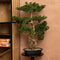 Atmosphera bonsai boom - in keramische pot - 86 cm - kunstplant - groen - Nepplanten - Sierplanten - Japanse stijl