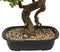 Atmosphera bonsai boom - in keramische pot - 86 cm - kunstplant - groen - Nepplanten - Sierplanten - Japanse stijl