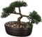 Atmosphera Bonsai - in keramische pot - 23 cm - Kunstplanten - Nepplanten