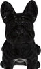 Atmosphera Bulldog beeld - Zwart- Decoratie - Sierbeeld - H22 cm