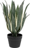 Atmosphera Kunstplant - Amerikaanse Agave met pot - Ø35xH55cm - Groen