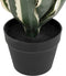 Atmosphera Kunstplant - Amerikaanse Agave met pot - Ø35xH55cm - Groen