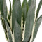 Atmosphera Kunstplant - Amerikaanse Agave met pot - Ø35xH55cm - Groen