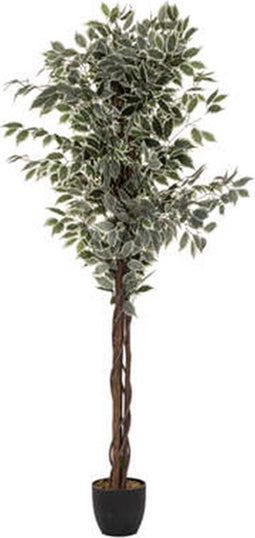 Atmosphera Kunstplant Fiscus met pot - Ø70xH180cm - Groen