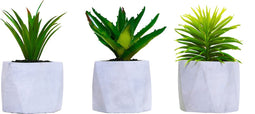 Atmosphera Kunstplant - Nepplant - Lichtgrijs - Set van 3 - Voor Binnen - Met Pot