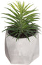 Atmosphera Kunstplant - Nepplant - Lichtgrijs - Set van 3 - Voor Binnen - Met Pot
