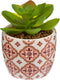 Atmosphera Kunstplant - Plant met pot - 17xH9cm - Multi