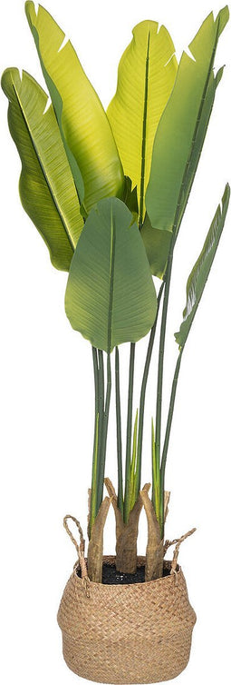 Atmosphera Kunstplant Strelitzia - Ø38xH125cm - Groen/Geel