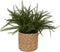Atmosphera Kunstplant Varen met pot - 45x30x45cm - Groen