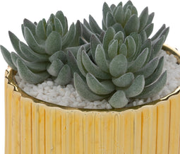 Atmosphera Louis Kunstplant - Goud - H12 cm - Dia 13,5 cm - Vetplant
