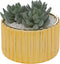 Atmosphera Louis Kunstplant - Goud - H12 cm - Dia 13,5 cm - Vetplant