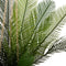 Atmosphera Palmboompot kokos Cuba - Kunstplant - H50 cm - Hanger