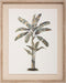 Atmosphera poster ingelijst boom - Fotolijst - Muur canvas - 40 x 50 cm