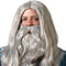 Atosa Verkleedpruik met baard - heren - grijs - Middeleeuwen/tovenaar/oude man - Carnaval - lang haar