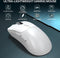 ATTACK SHARK R1 Draadloze Gaming Muis - Wired/2.4G/BT5.2 - Lichtgewicht 59G - PAW3311 - 18000DPI - Wit