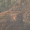 Blad 160 x 2 x 230 cm Landschap
