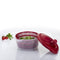 Westmark Fortuna - Slacentrifuge 5 l - BPA-vrij - Rood