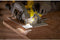 STANLEY FATMAX SFMCS550B-XJ - 18V Brushless Cirkelzaag - 190mm bladdiameter - 5000 t.p.m.
