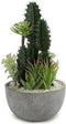 Cactus BIG-S3601496 Keramisch Grijs Wit Groen