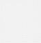 vidaXL - Draadhek - 50x50 - cm - 20x10x2 - mm - roestvrij - staal
