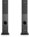 Audio Pro A38 - Smart Multiroom Actieve Vloerstaande Luidsprekers - 2x75W - Zwart - Set van 2
