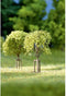 Auhagen 70950 Set bomen Loofboom 23 tot 42 mm 10 stuk(s)