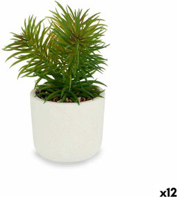 Decoratieve plant Wit Groen (14 x 20 x 14 cm) (12 Stuks)